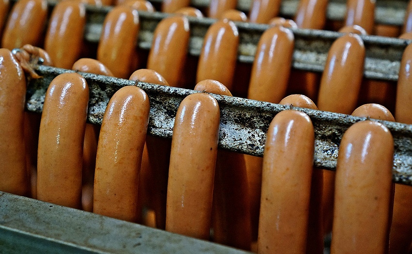 Wiener Würstchen hängen jeweils paarweise über einer Metallstange