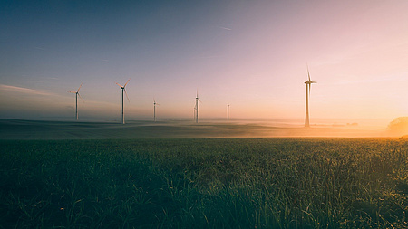 Windräder auf einer nebeligen Wiese bei Sonnenaufgang.