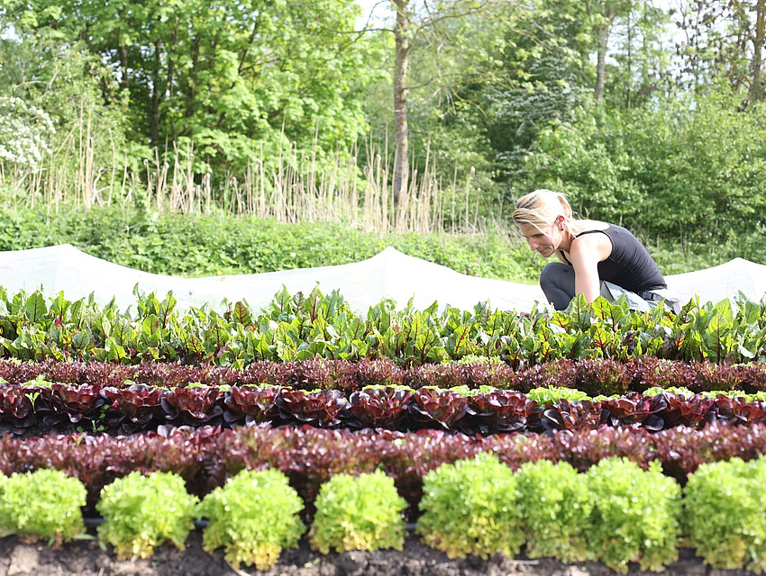 Anja Kirchner bei ihrem Gemüsefeld