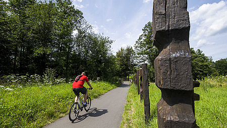 Ein Mann ist mit seinem Fahrrad auf einem Radweg unterwegs. Im Hintergrund grüne Wiesen und Bäume.