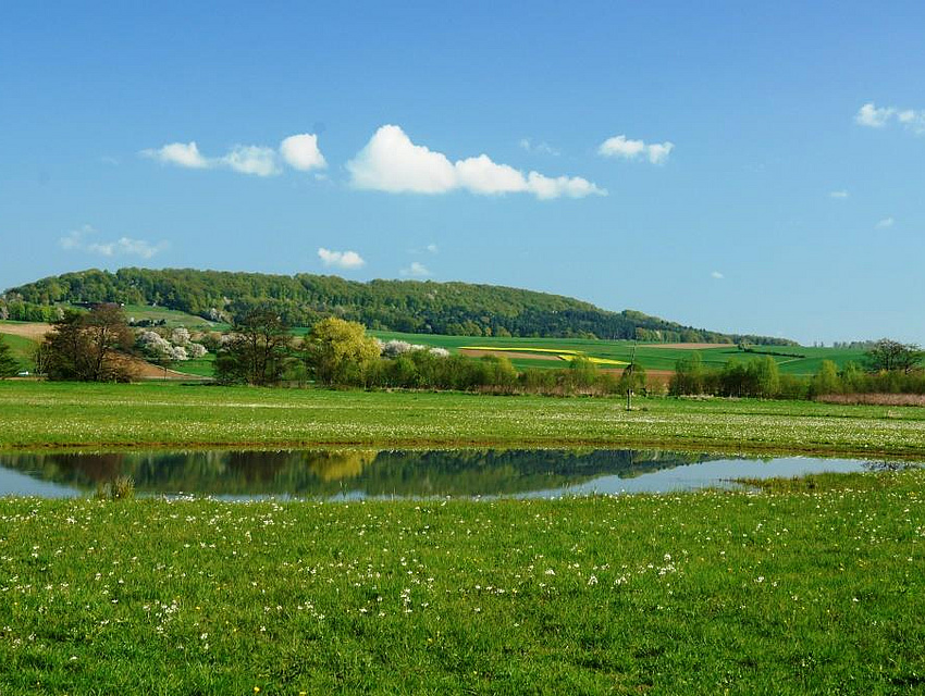 Blick über das Naturschutzgebiet "Rußland" (Foto: Pfuhl)
