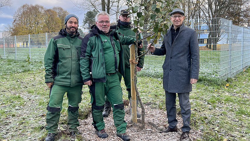 Vier Männer stehen rund um einen frisch gepflanzten Apfelbaum.