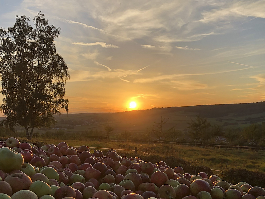 ein Wagen vollen Äpfel beim Sonnenuntergang
